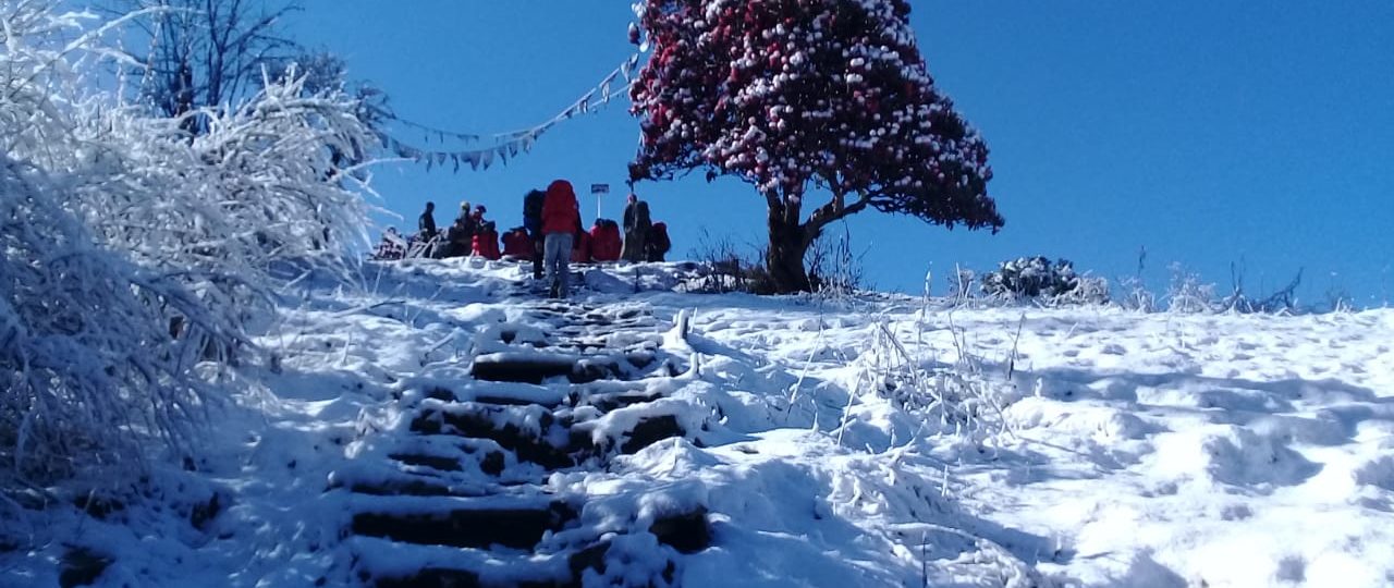 Annapurna Base Camp Trek vs Everest Base Camp Trek