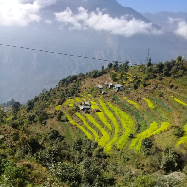 Langtang- Gangja La Pass and Helambu Trekking