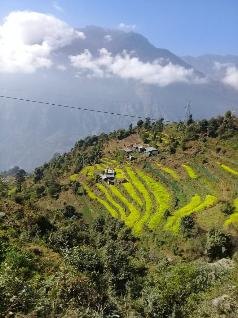 Langtang- Gangja La Pass and Helambu Trekking