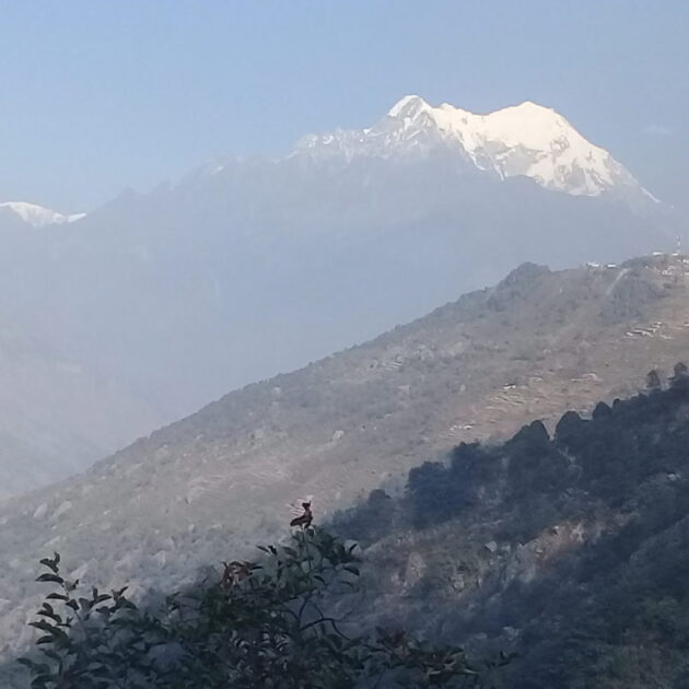 Langtang Valley, Gosainkuda and Helambu Trekking