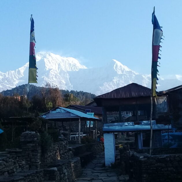 Mardi Himal short Trekking - 11 Days