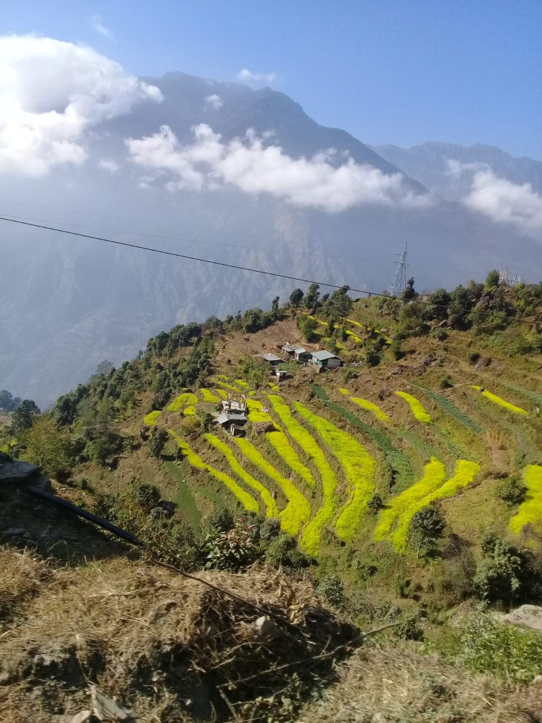 Yala Peak Climbing - 12 Days